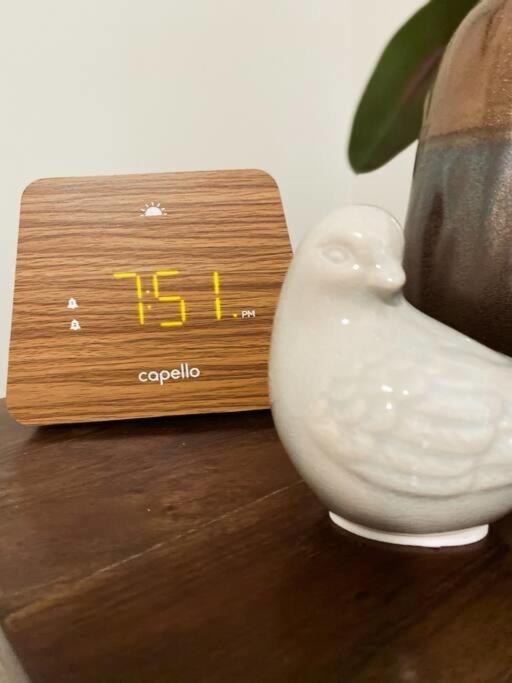 The Nest In 5 Points, Downtown, Walk To Everything Huntsville Eksteriør bilde